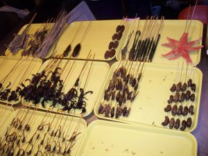 bugs on stick